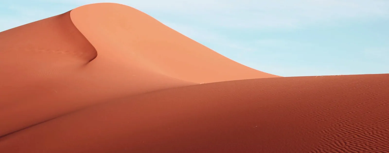 Desert dune under a clear sky